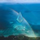 Morpho Seashell Single