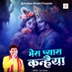 Mera Pyara Kanhaiya Single