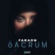 Sacrum Single
