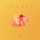 Leaves EP