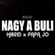 Nagy a buli Single