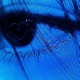 EYES Single