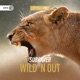 Wild n Out Single