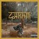 Zakhm Single