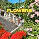FLOWERS Single