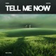 Tell Me Now feat Rithu Single