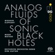 Analog Fluids of Sonic Black Holes The Myth Hold Weight feat Wooden Elephant Beethoven Orchester Bonn Dirk Kaftan Ian Anderson Single Edit Single
