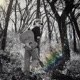 Dream State Single