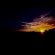 Jevons Paradox Single