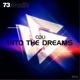 Into the Dreams Single