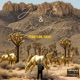 Joshua Trees The Lost Antelopes