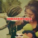 Indescriptible feat Sur Calle Crew Single