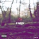 Fallin Single