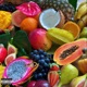 Papaya Single