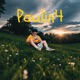 Paulin4 Single