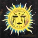 California Sun Single