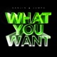 What You Want Single