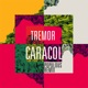 Caracol Populous Remix feat Populous Single
