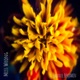 Miss Wrong Single feat Mac M C Single