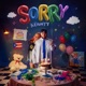 SORRY Single
