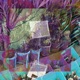 Ruffneck Sound Single