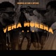 Vena Morena Single