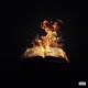 Scripture Single