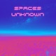 Spaces Unknown Single