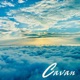 Forbidden Paradise Single