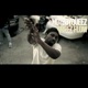 Queez Flow Single
