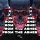From the Ashes Single