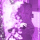 mollyWorld