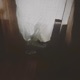 blurry Single