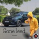 gone leed Single