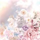 LISIANTHUS Single