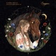 Hide in the Light Single