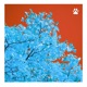 Solace Single