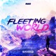 Fleeting World Single