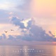 Taking Flight Single