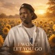 Won t Let You Go Single