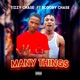 Many Things feat Scooby Chase Single