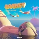Boūncy feat GWS Single