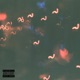 Live from the Quarantine feat 1st Verse Mike Dee Single