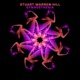 Synaesthesia Coldcut Remix Single