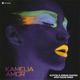 Amor ALOVSKI Adrian Saguna Afro House Remix Single