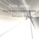 You re Not Indestructible feat Laurens Reij Single