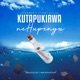 Kutapukirwa nehupenyu feat Stunner Silent Killer Single