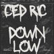 Down Low Mauritian Version Single