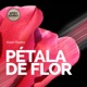 Petala de Flor Single