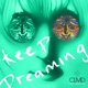 Keep Dreaming feat Jared Lee Single
